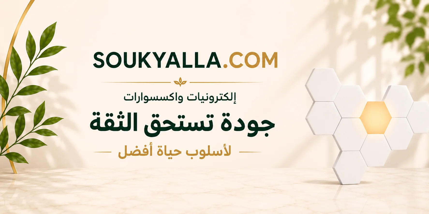 إلكترونيات واكسسوارات