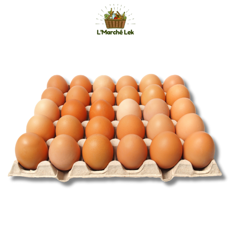 بيض رومي - Oeuf