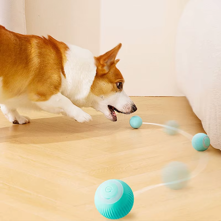 كرة المرح التفاعلية للقطط و الكلاب