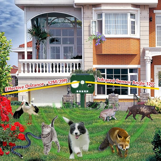 stores/ba2474ab01e512d31ee3d584e31c0efe/products/K9siTiGAG8rtC7Gj9rZzB3G3wgAJxlo32Ei1RfYv.jpg