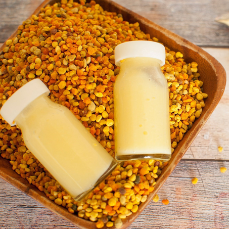 غداء ملكة النحل السائل و البودرة