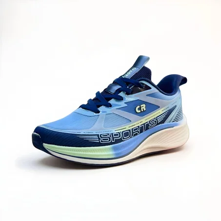 التصنيف السادس