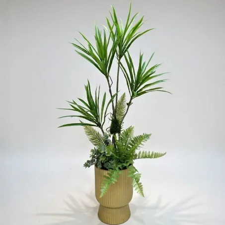 نبتة الدراسينا