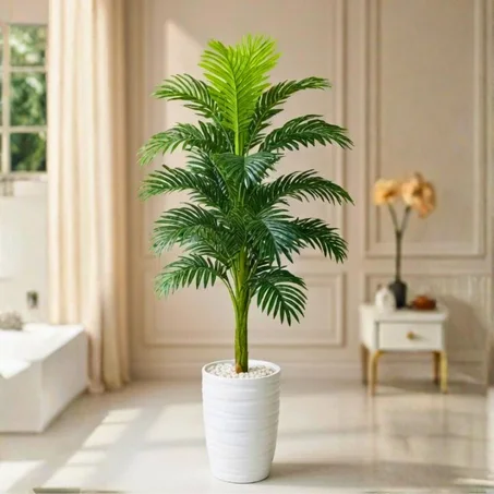 Areca Palm