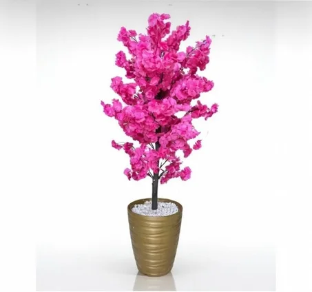 شجرة أزهار الكرز  الساحرة