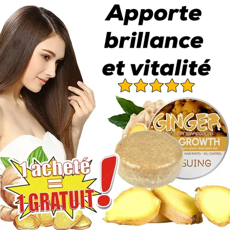 Shampooing au gingembre Anti-chute des cheveux, produit de soins capillaires 100% naturels
