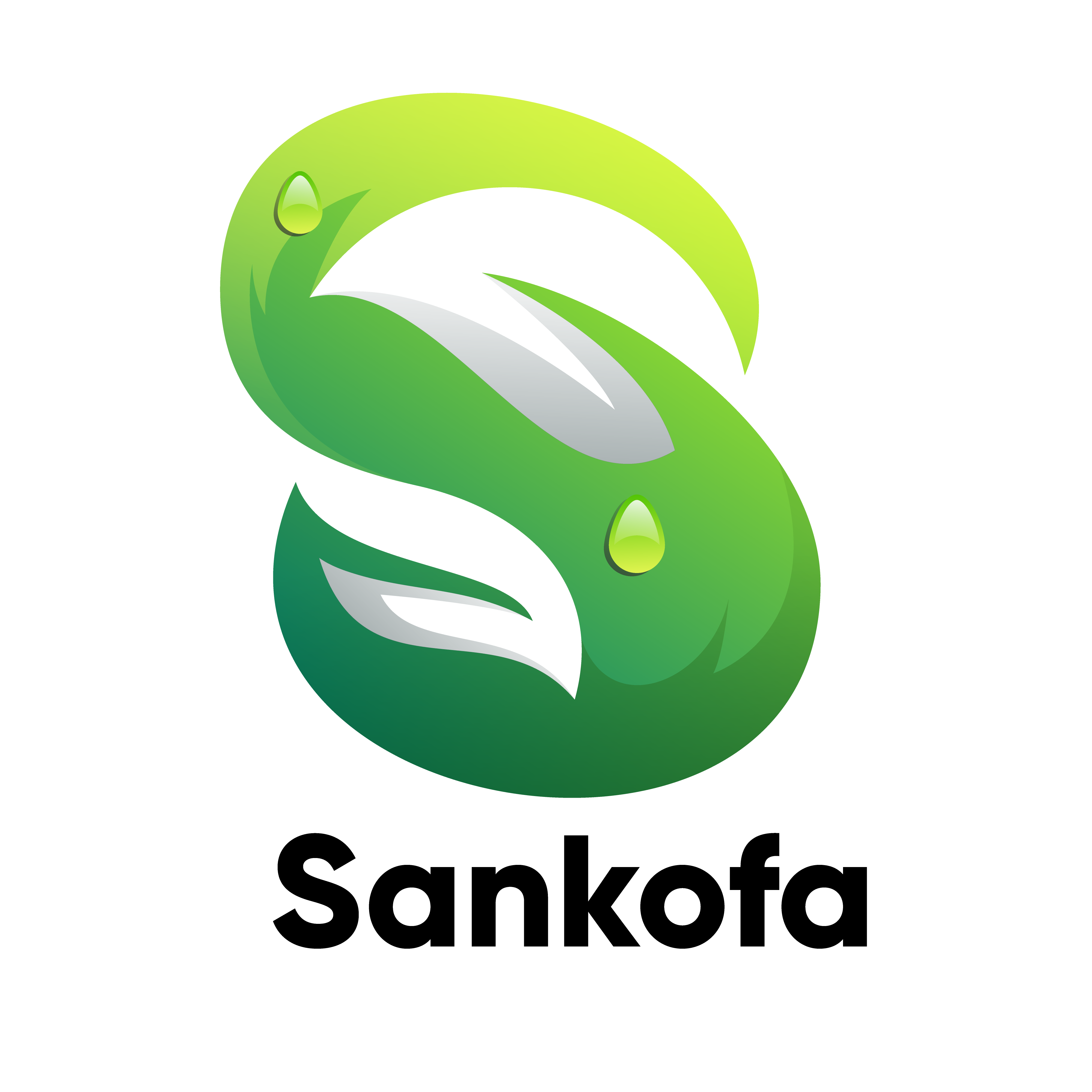 SankofaCFA