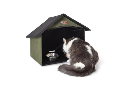 Outdoor Kitty Dining Room