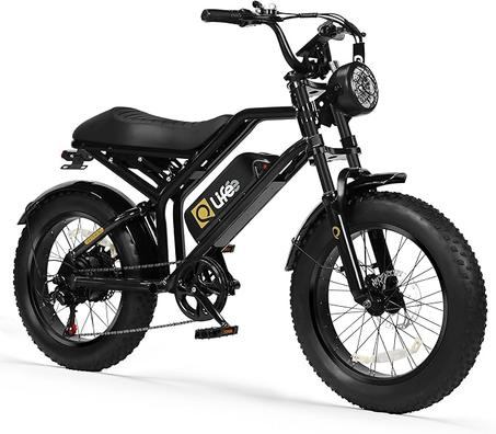 life Electric Bike