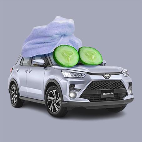 منتجات العناية بالسيارات Car care products