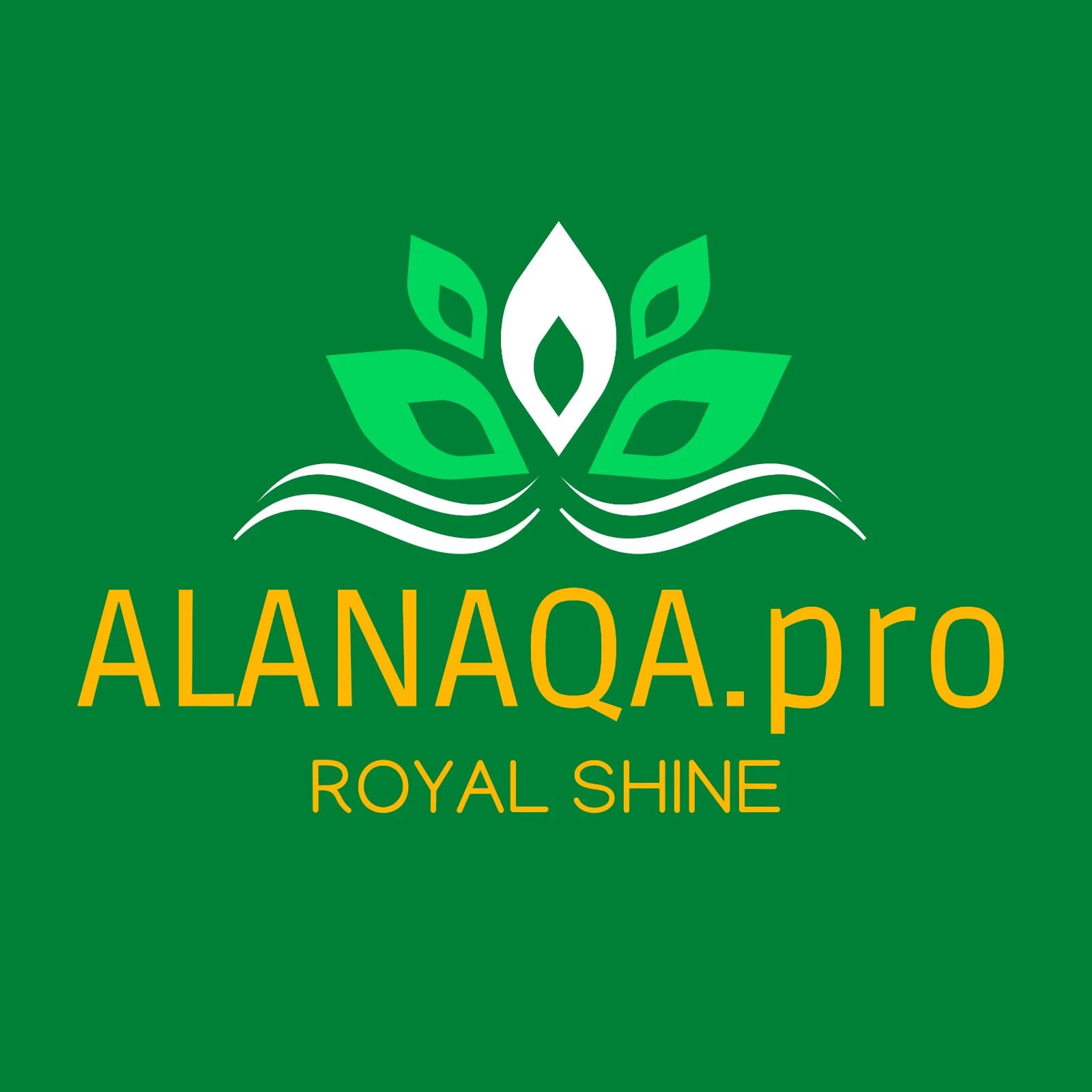 ALANAQA.pro