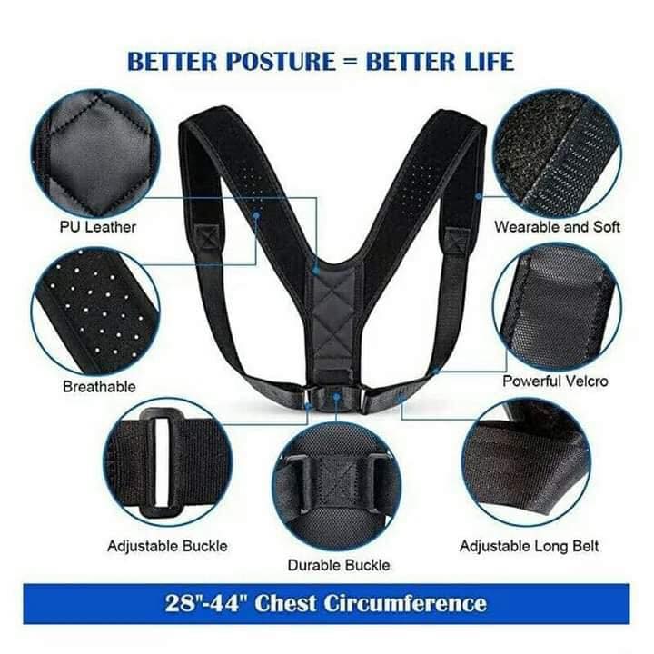 Ceinture Dorsale