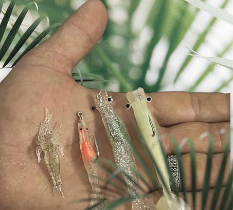 Crevettes De Pêche Lumineuses Souples