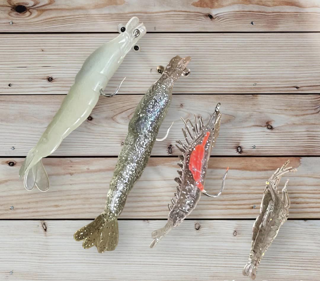 Crevettes De Pêche Lumineuses Souples