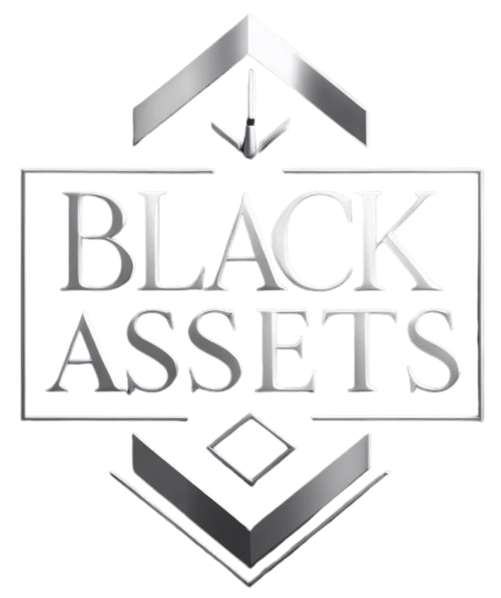 BLACK ASSETS