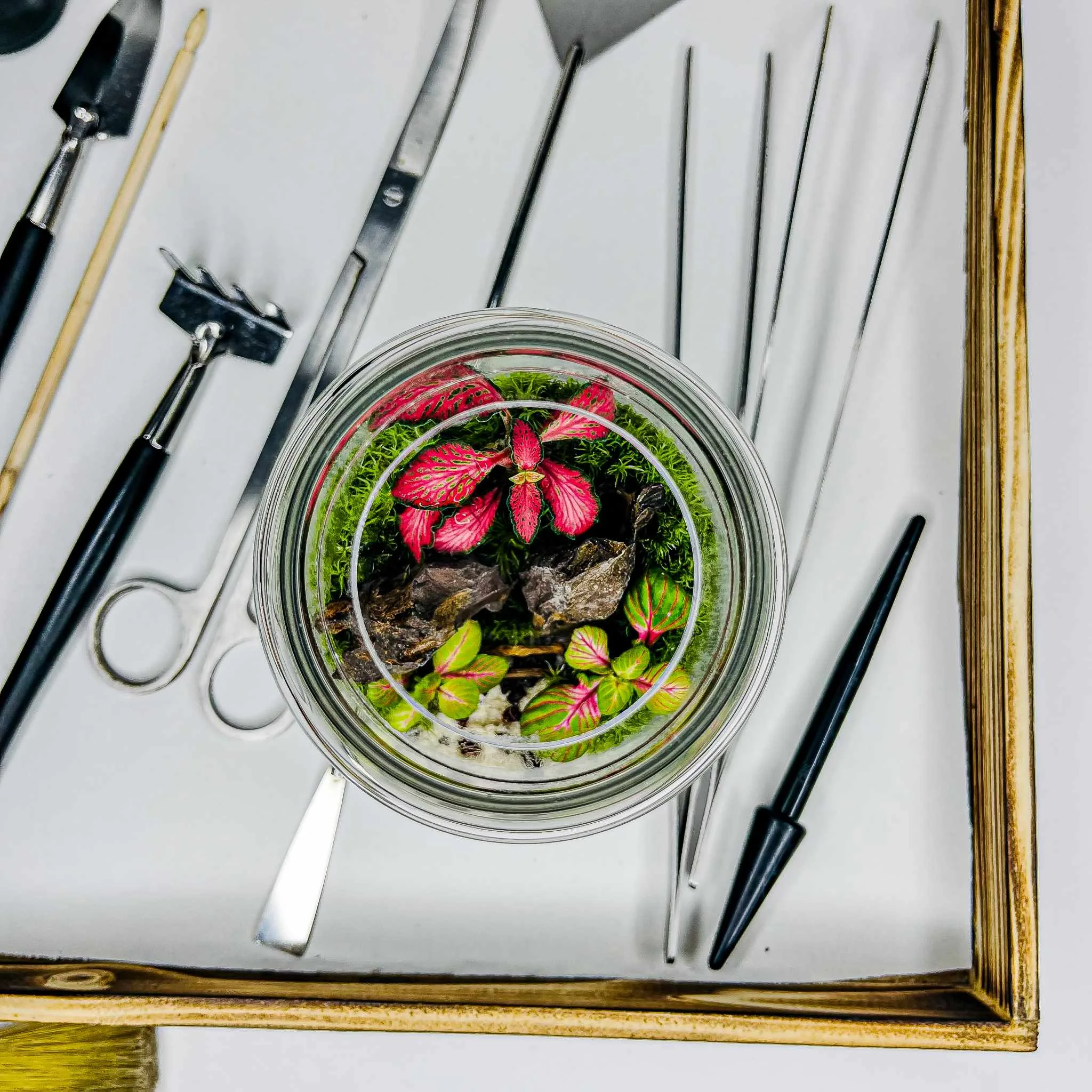 الحدائق الزجاجية