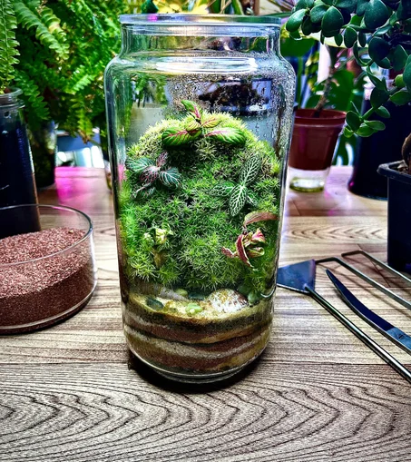 غابة الربيع الخضراء