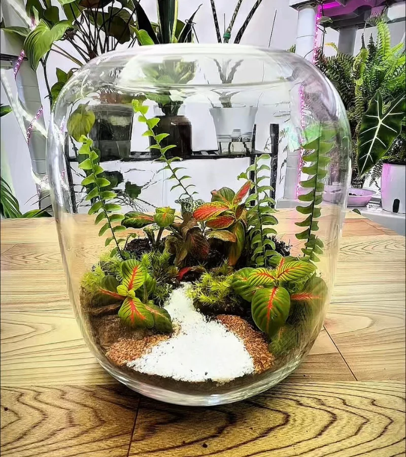 حديقة الاسترخاء