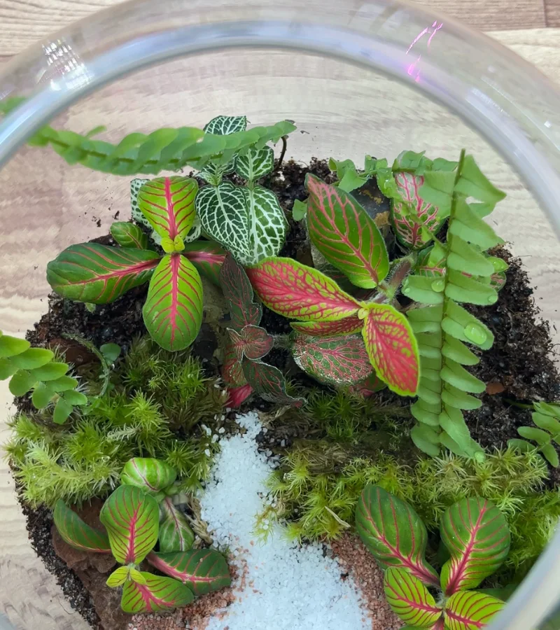 حديقة الاسترخاء