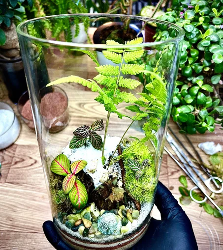 حديقة السرخس