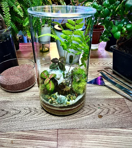 حديقة السرخس