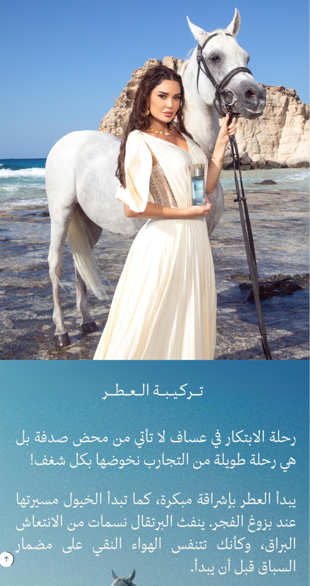 stores/bbaaeaec91f21f374294fa966352b867/products/JlC9wN55zghBYQ1diLWQptdh650rvoytYX4kCoPv.jpg