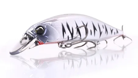 JERKBAIT