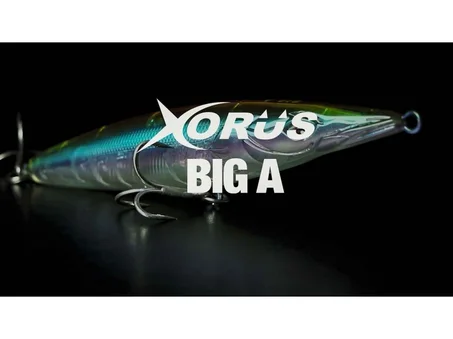 ASTURIE BIG A
