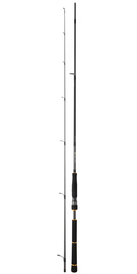 DAIWA BLACK GOLD SEABASS