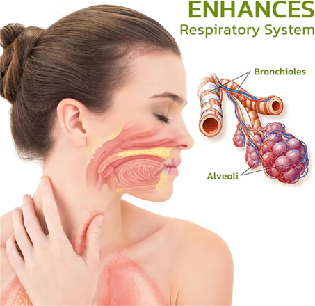 Natural Lung And Respiratory Support Spray