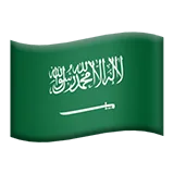 🇸🇦