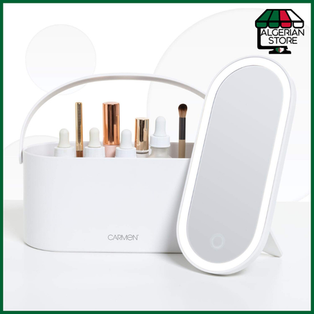 PORTABLE COSMETIC  CASE