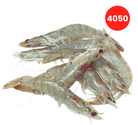 Crevettes Grises 40/50 Fraîcheur et Qualité Supérieure 2KG