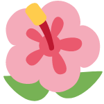 🌺