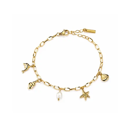 Charm braclet