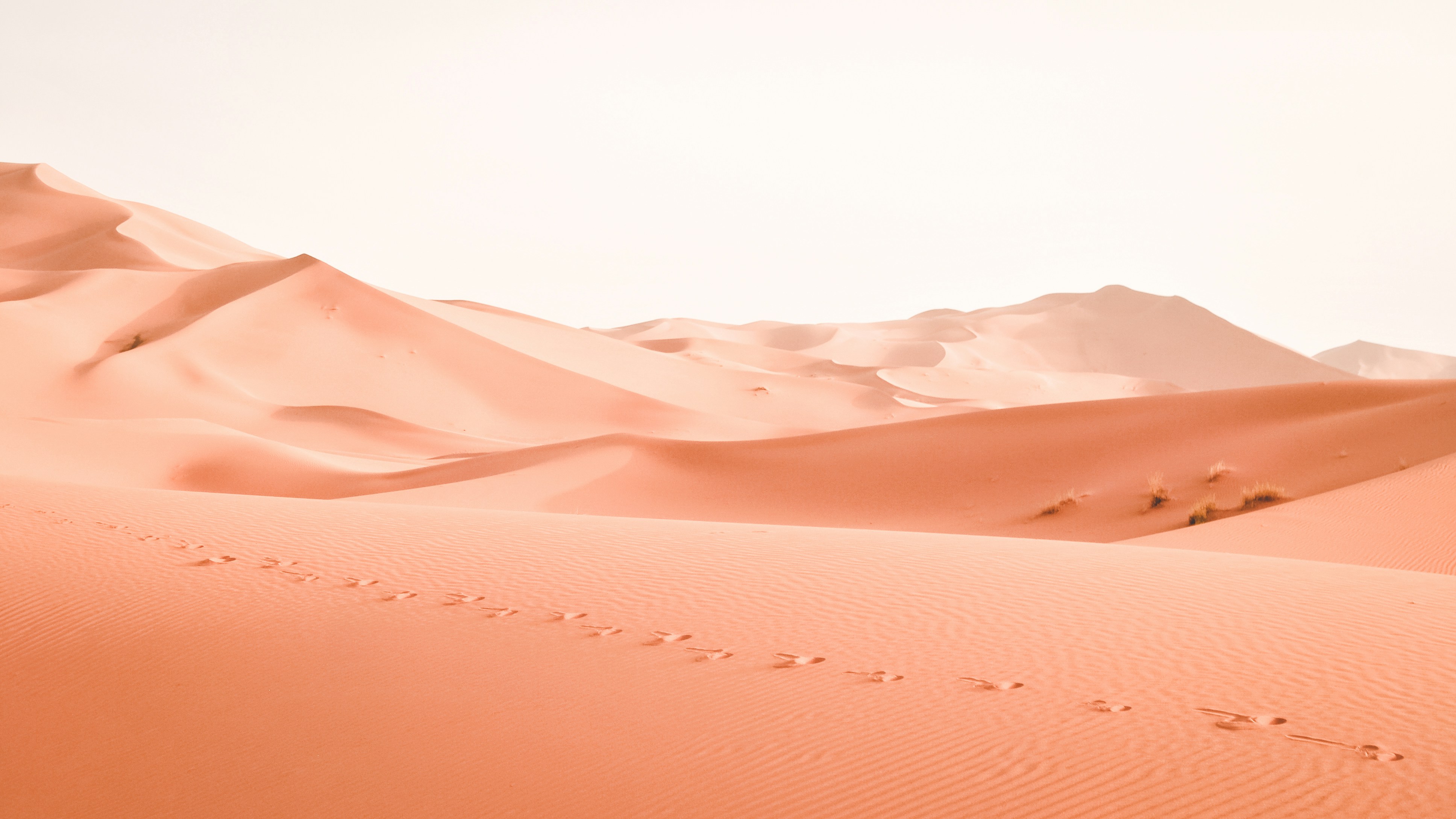 slider-image