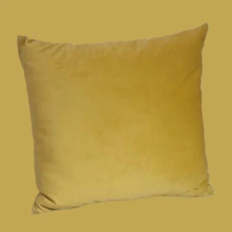 Petits coussins simple