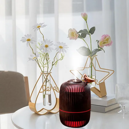 Mini Purificateur Humidificateur d'Air HOLDMAY Portable