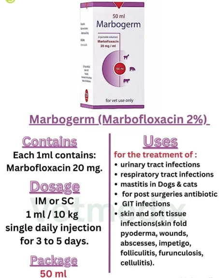 ماربوجيرم (Marbogerm) حقن 50 مل - مضاد حيوي واسع المدى (ماربوفلوكساسين) للكلاب والقطط