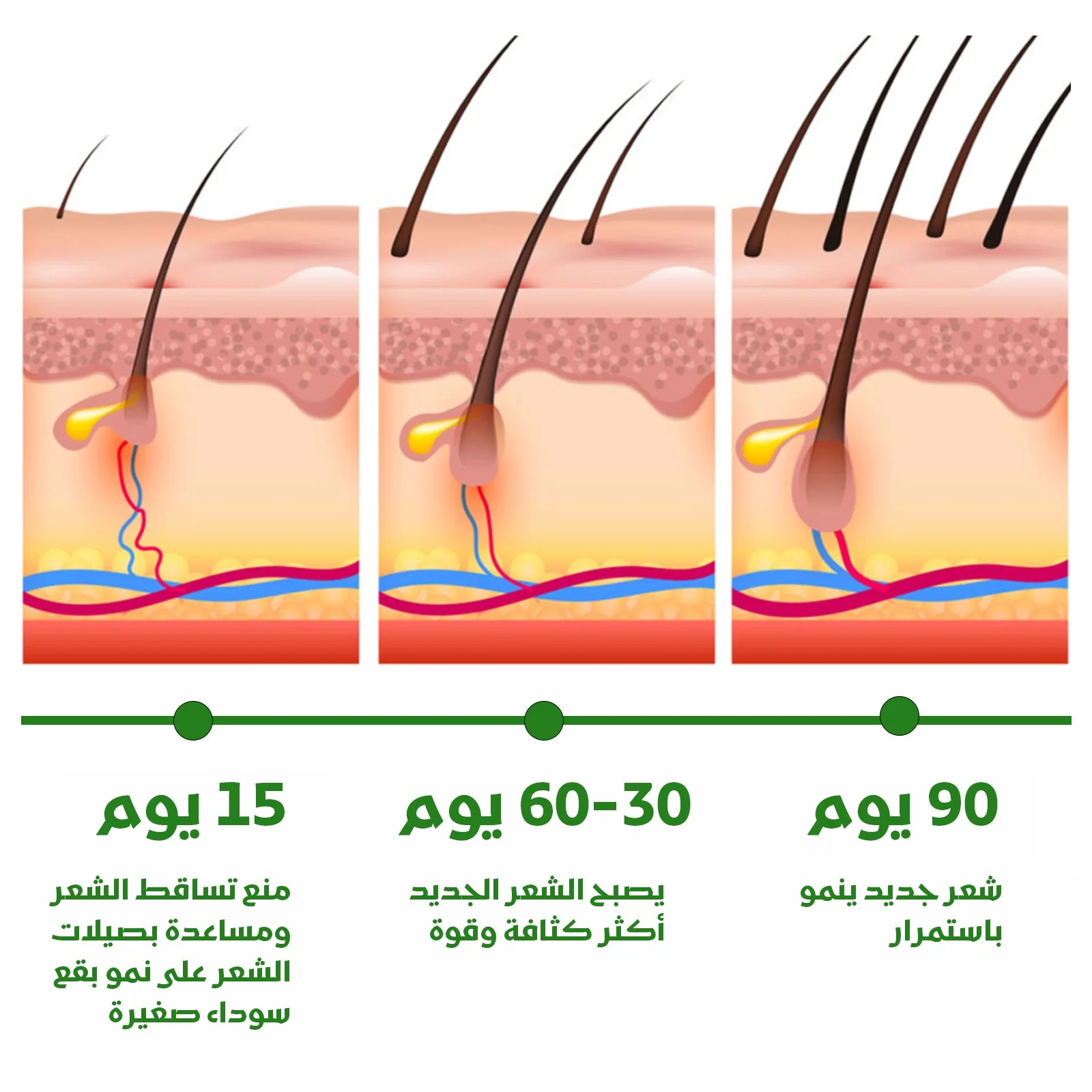 Hair Care Pack مجموعة العناية بالشعر
