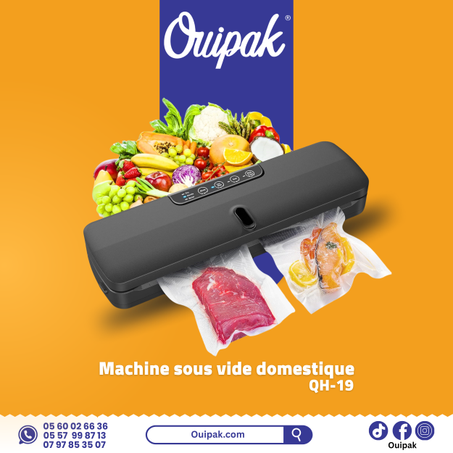 Machine sous vide domestique QH-19