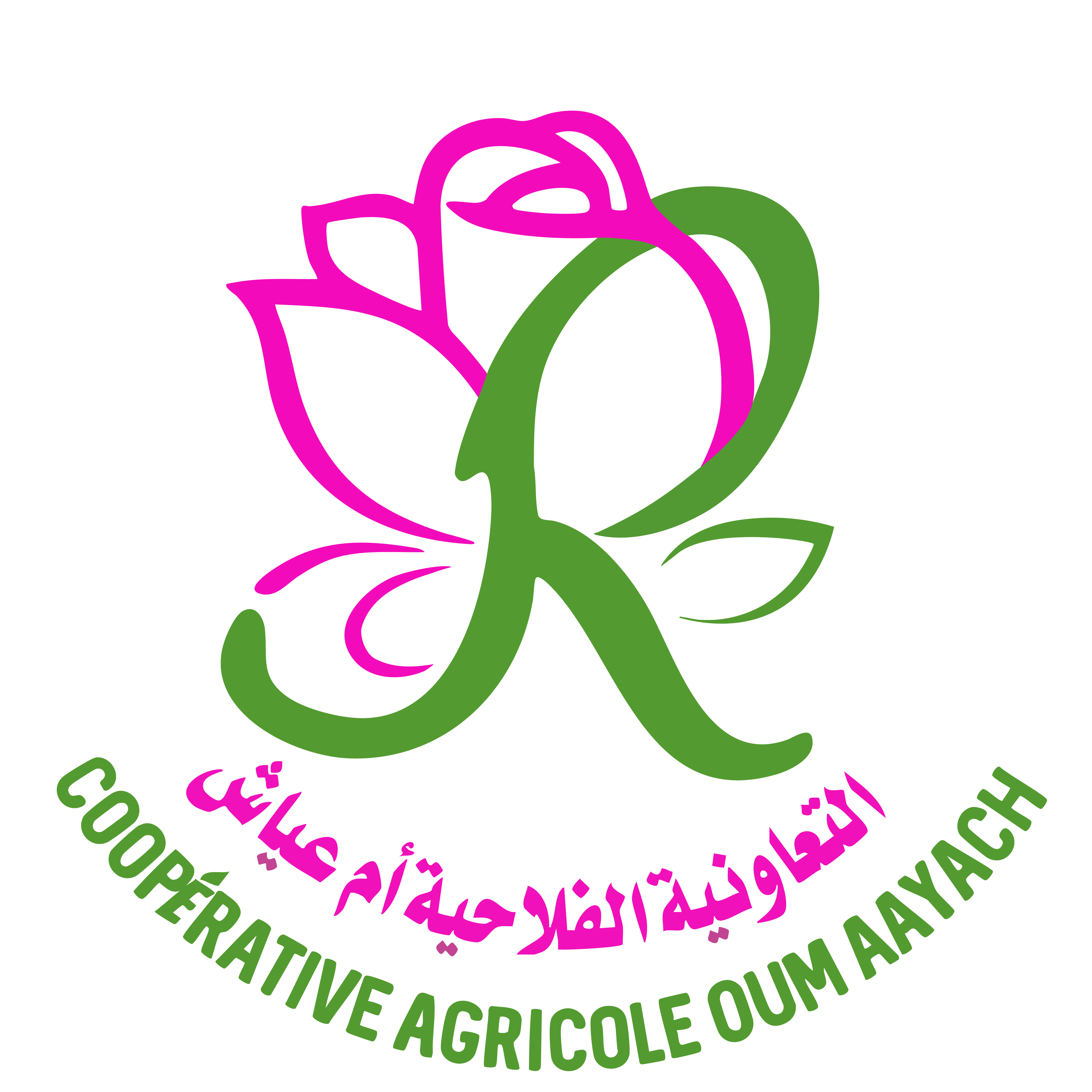 oumaayach