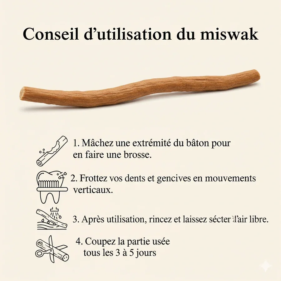 Siwak naturel (miswak)