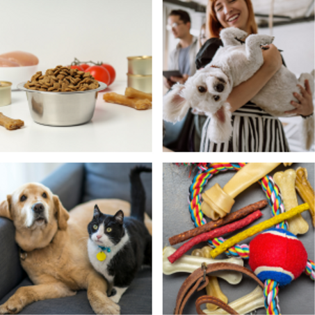 لوازم الحيوانات الأليفة