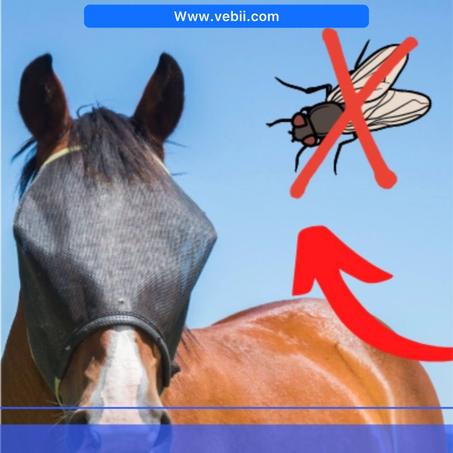 مبيد حشرات الحيوانات