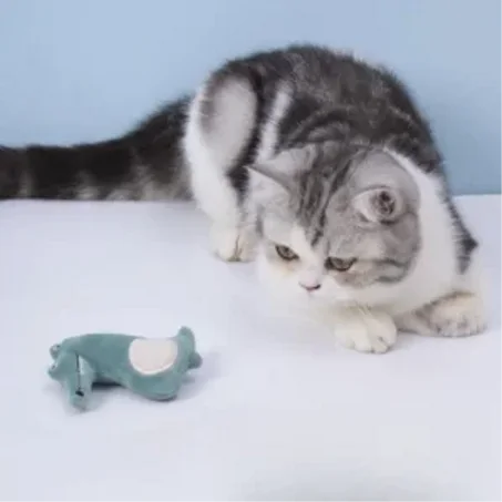 Pet Teeth-Grinding Plush Toy – Cute Anti-Bite Cat Doll