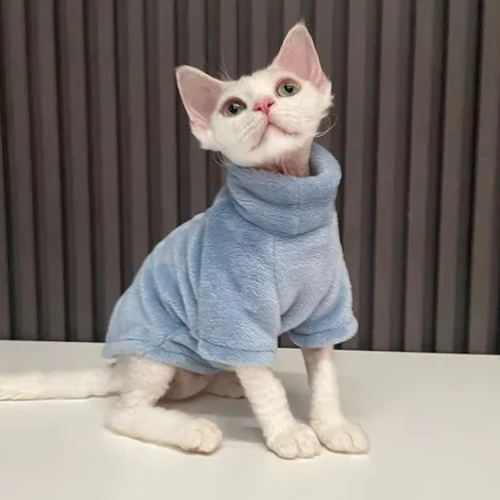 Sphynx Cat Sweater – Fashionable Kitten Hoodie & Pet Jumpsuit Outfit