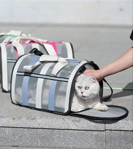Portable Foldable Pet Handbag – Mesh Carrier for Cats