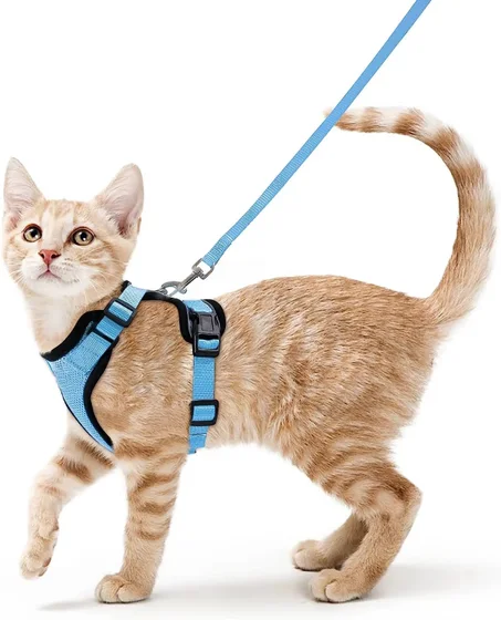Cat Harness & Leash – Soft Adjustable Escape-Proof Vest for Walking
