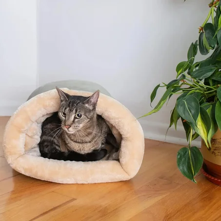 Cozy Autumn & Winter Cat Sleeping Bag – Semi-Enclosed Washable Nest for Small & Medium Cats